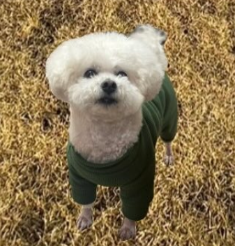 おかげさまで創業７５周年♪