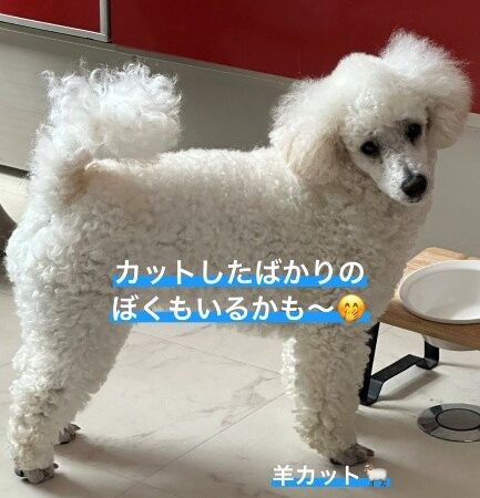 ６月　イベントのお知らせ！