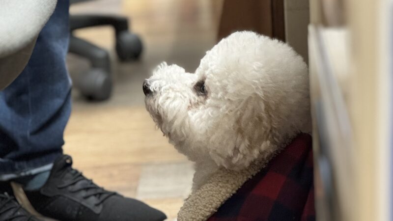 イベントのお知らせ♪