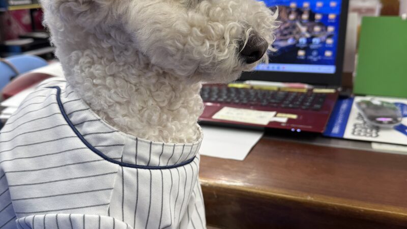 春の展示会　御礼！