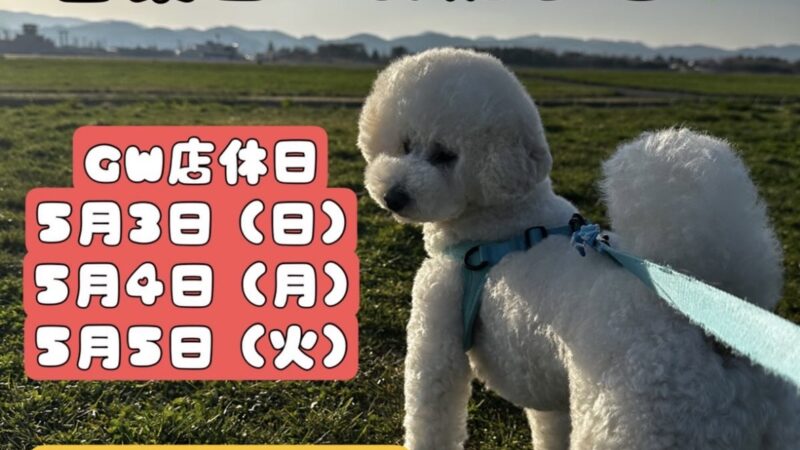 ＧＷお休みのお知らせ